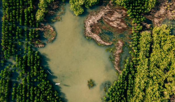 The Spirit of Gresik: Reviving Natural Ecosystems and Empowering Local Communities