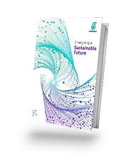 PETRONAS 2024 Audited Financial Statements
