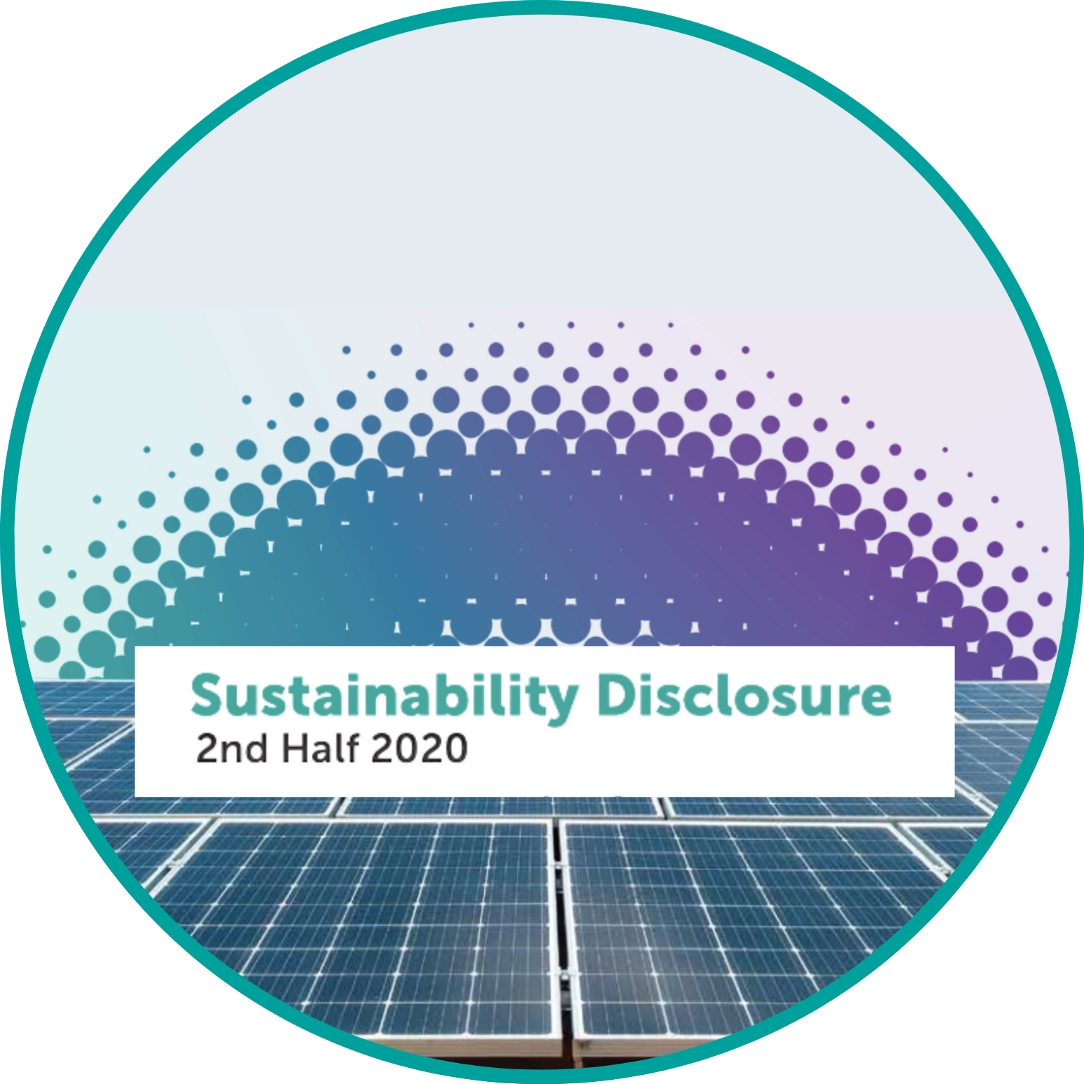 2nd half 2020 sustainability disclosure