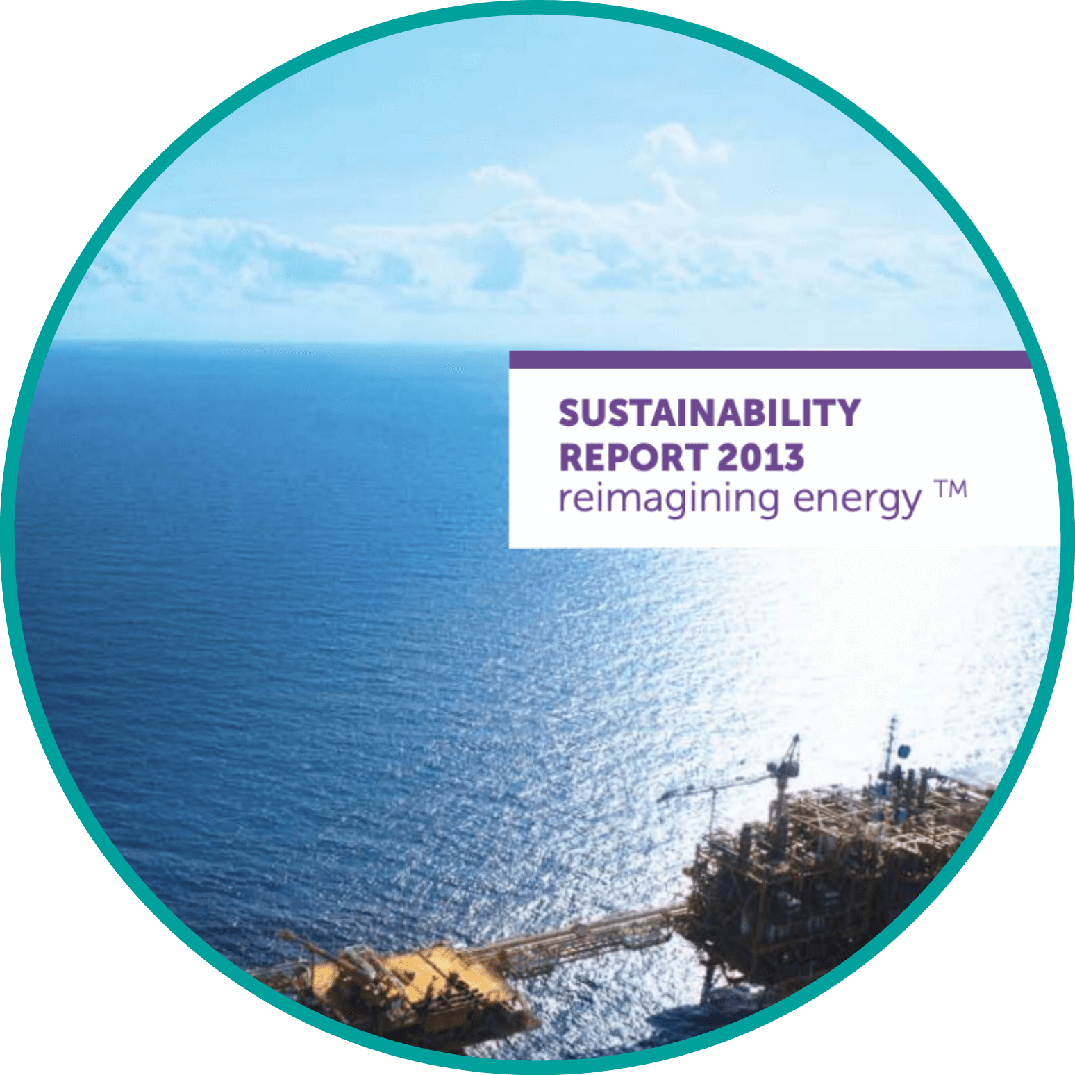 Sustainability Report 2013