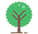 Icon representing matured trees